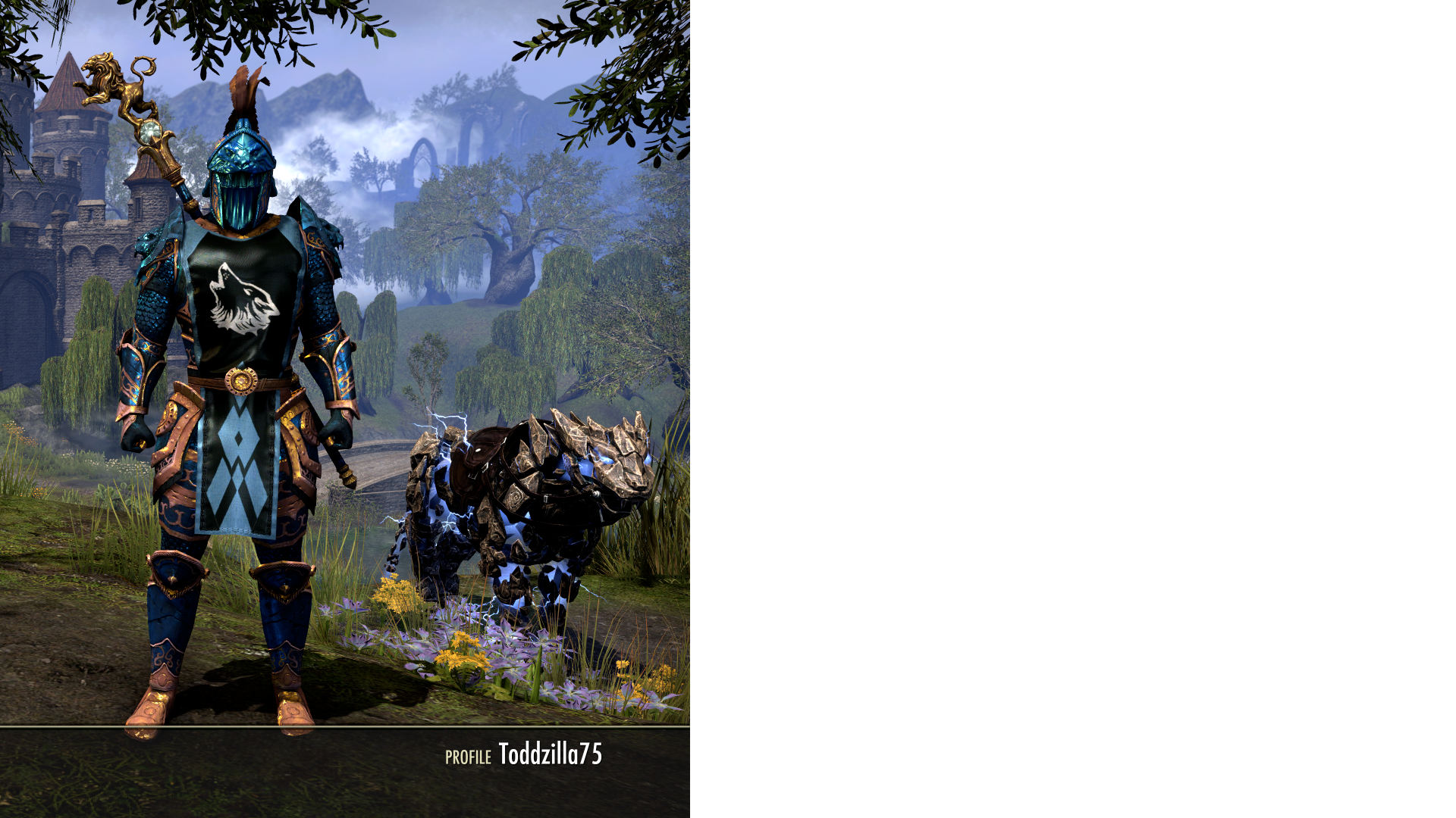 NA SERVER TABARD [BLUE]